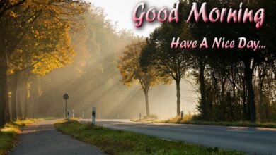 Beautiful:9wbski9gule= Nature:Ouapqyuu8fc= Good Morning Images