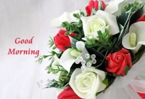 Beautiful:9wbski9gule= Rose:Ysuxrvcamsw= Good Morning Images
