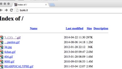 90.150.204/: URL Formatted as a Directory