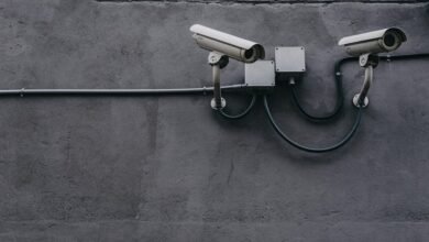 data protection contact numbers