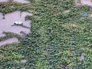 operational security evaluation taskforce